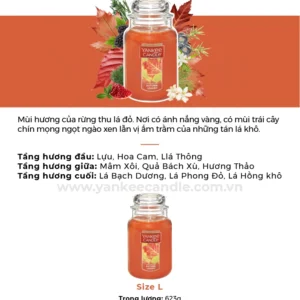 Nến hũ L - Autum Leaves